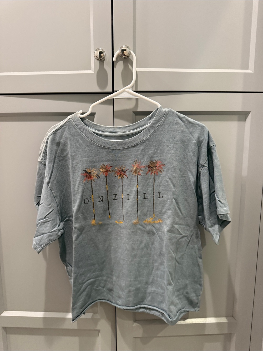 O'Neill Light Blue Palm Graphic Tee